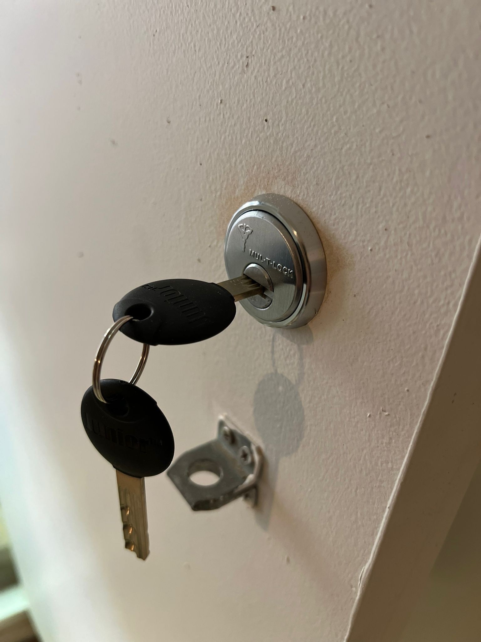 Homeowner using a smart lock app